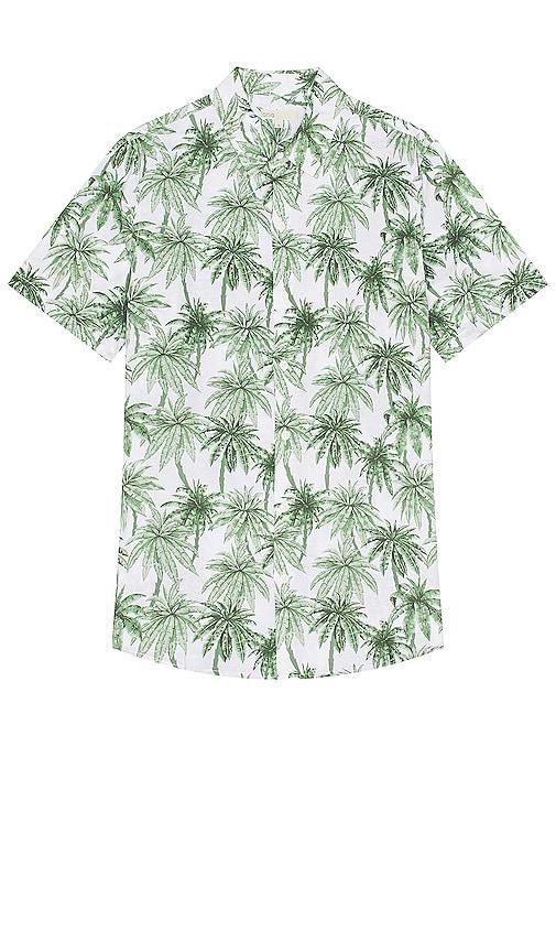 Mens Jack Air Jungle Palms Printed Short-Sleeve Shirt Product Image