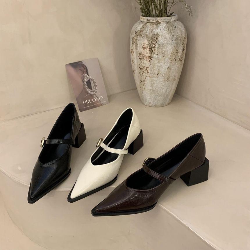 Pointed Toe Block Heel Mary Jane Pumps Product Image