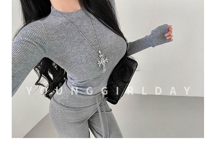 Long Sleeve Crew Neck Plain Ribbed Knit Top Product Image