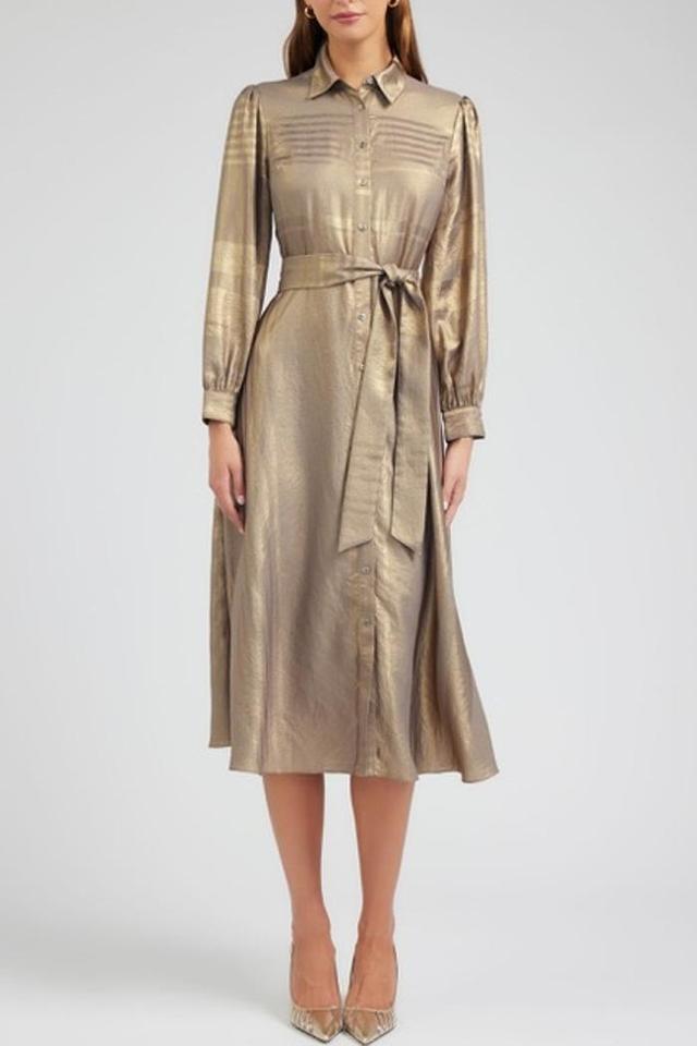 Maxi Long Sleeve Dress Product Image