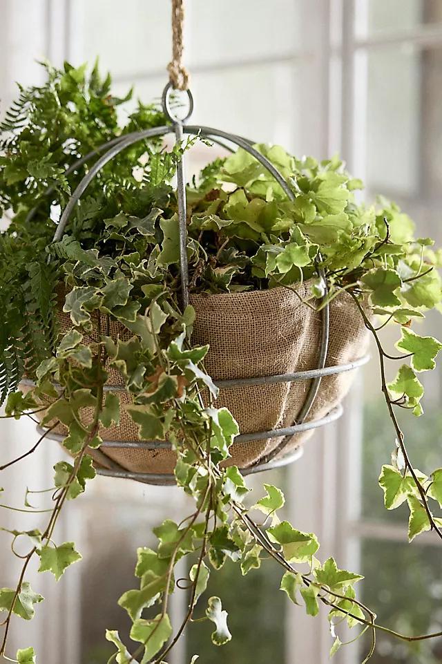 Water-Saving Natural Hanging Basket Liner Product Image