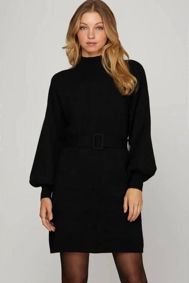 Belted Sweater Dress Product Image