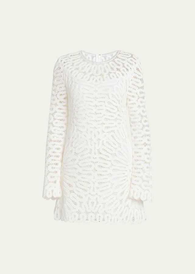 Womens McCall Crocheted Long-Sleeve Minidress Product Image