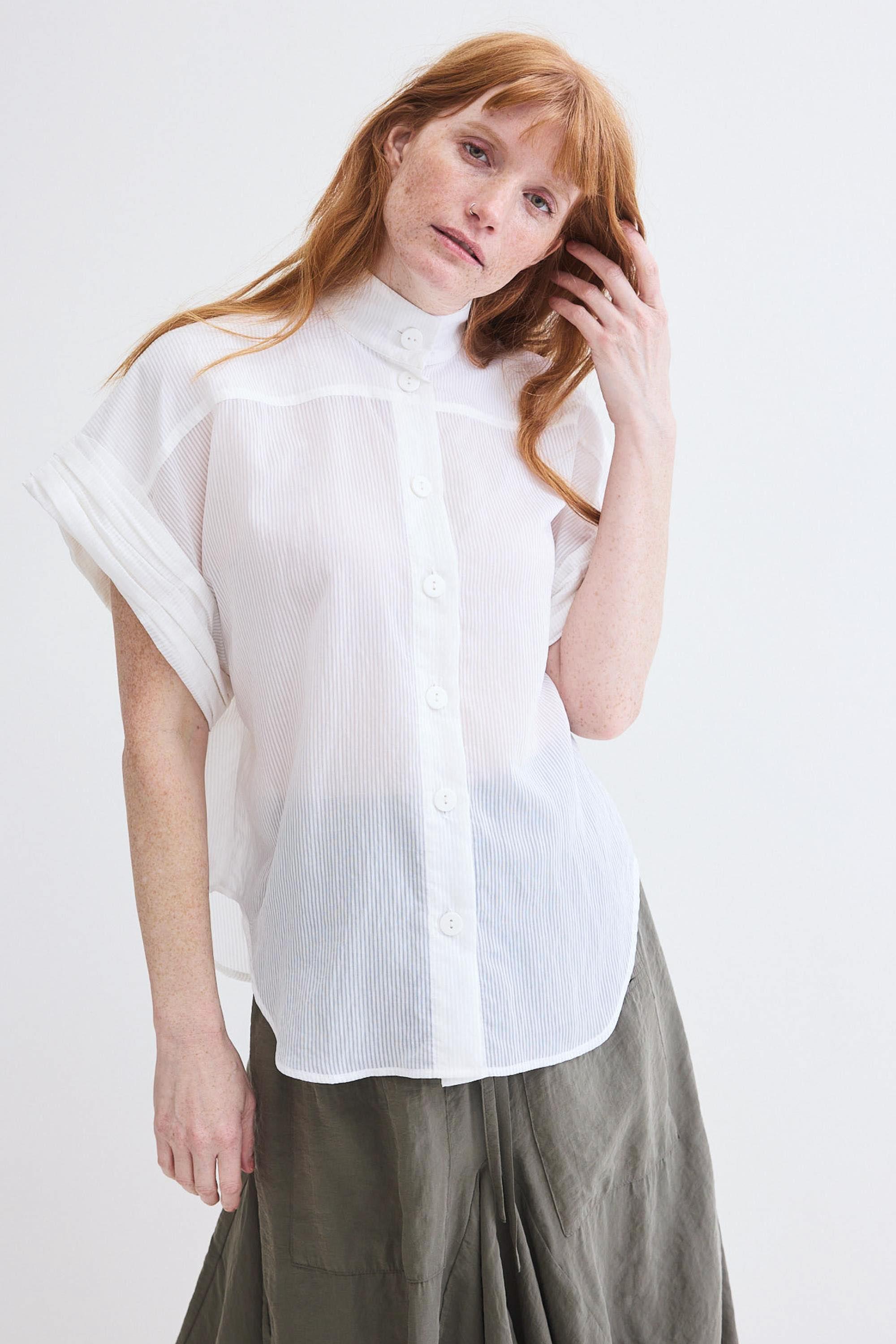 Sheer Always Chic Blouse Product Image