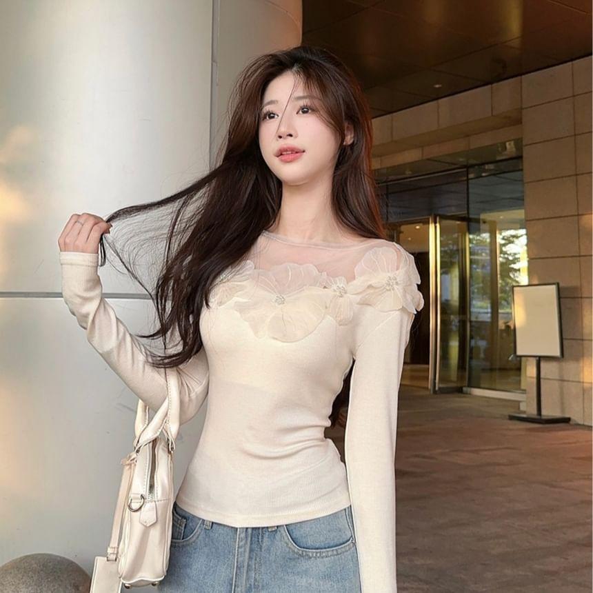 Long Sleeve Crew Neck Floral Applique Panel Mesh Top Product Image