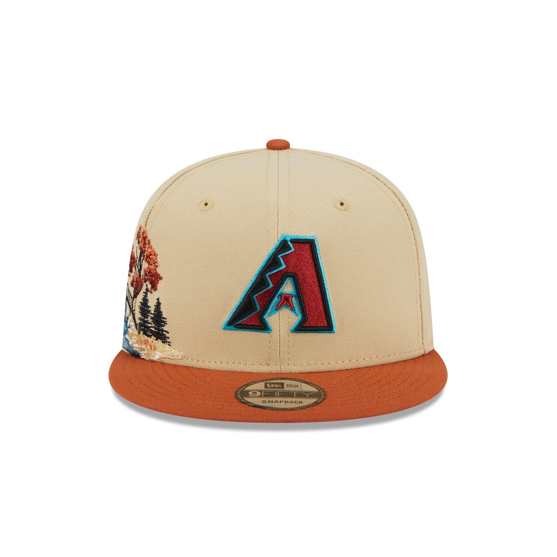 Arizona Diamondbacks Fall Landscape 9FIFTY Snapback Hat Male Product Image