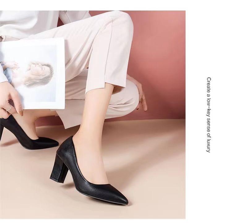 Block Heel Plain Pointy Pumps Product Image