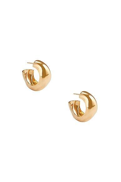 AGMES Medium Celia Hoop Earrings Metallic Gold.. Product Image