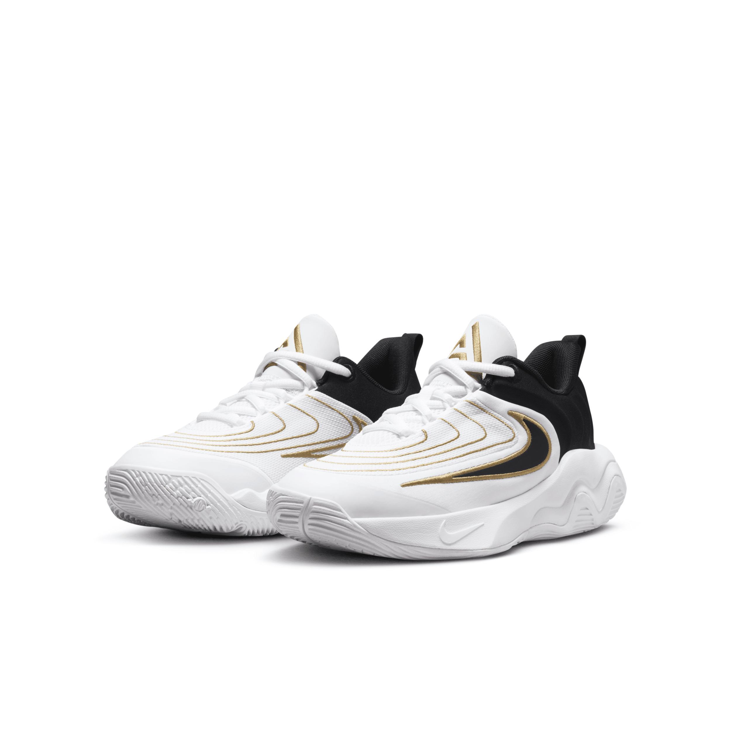 Nike Boys Big Kid Giannis Immortality Iv Basketball Shoe Product Image