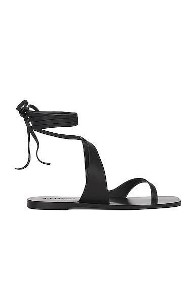 A.EMERY Marguax Sandal in Black - Black. Size 38 (also in ). Product Image