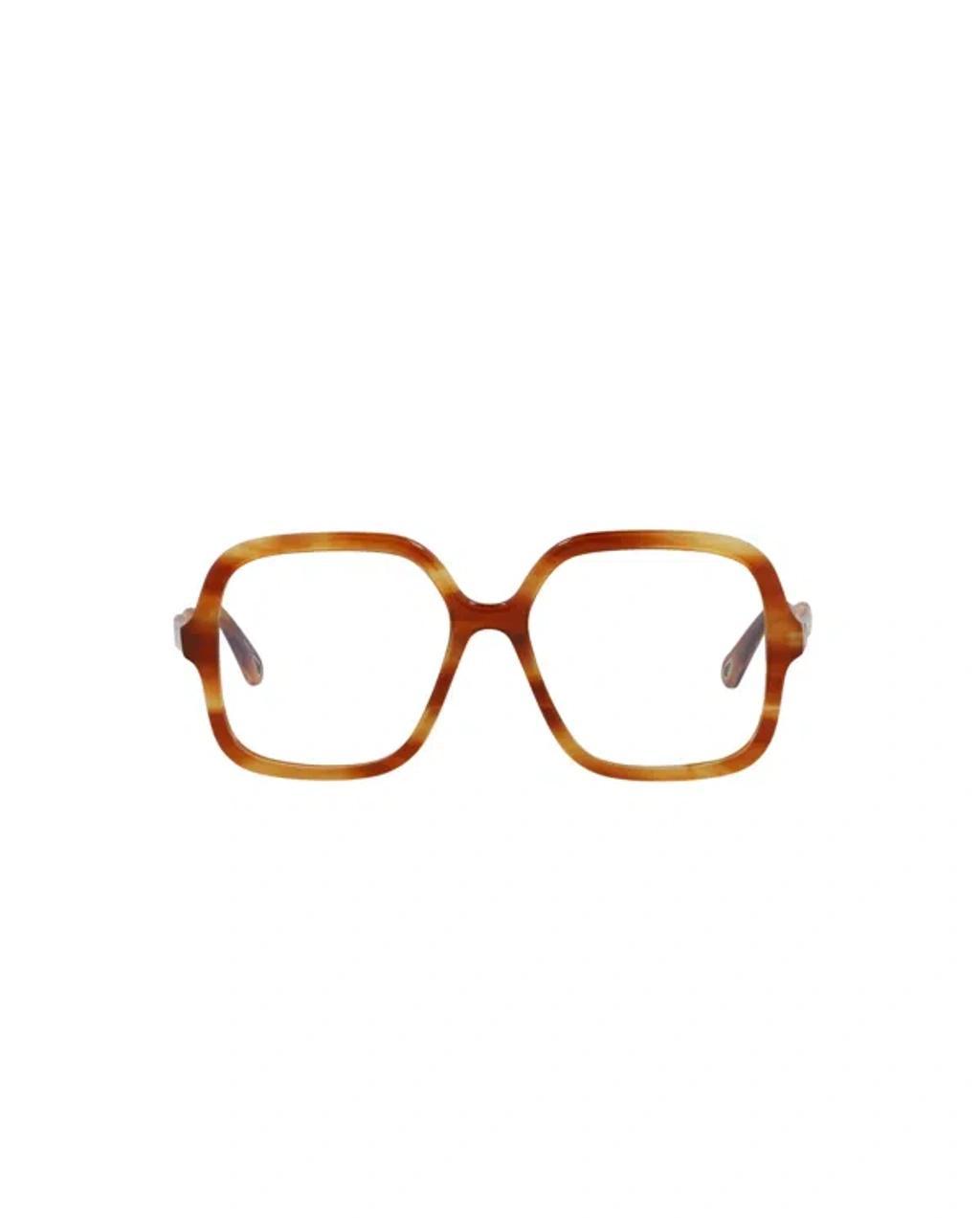 Square-frame Bio Acetate Sunglasses In Orange Product Image