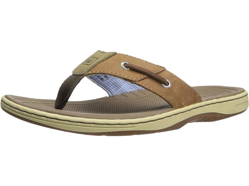 Sperry Mens Baitfish Sandals Mens Shoes Product Image