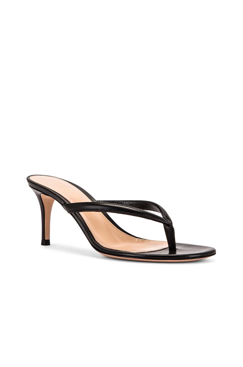 Gianvito Rossi Thong Sandals in Black Product Image