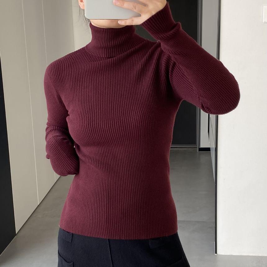 Long Sleeve Turtleneck Plain Ribbed Knit Top Product Image