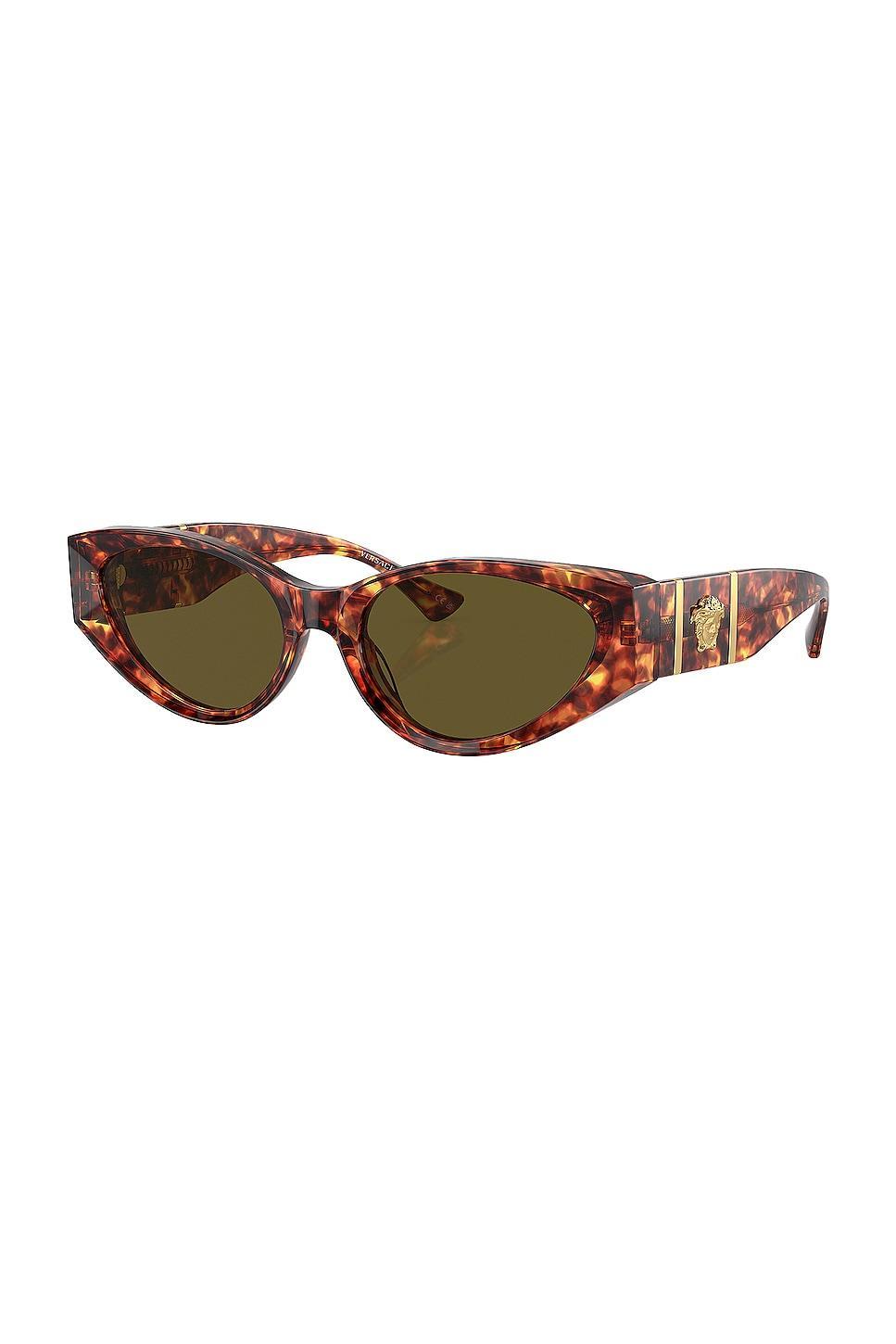 VERSACE Oval Sunglasses in Brown Product Image