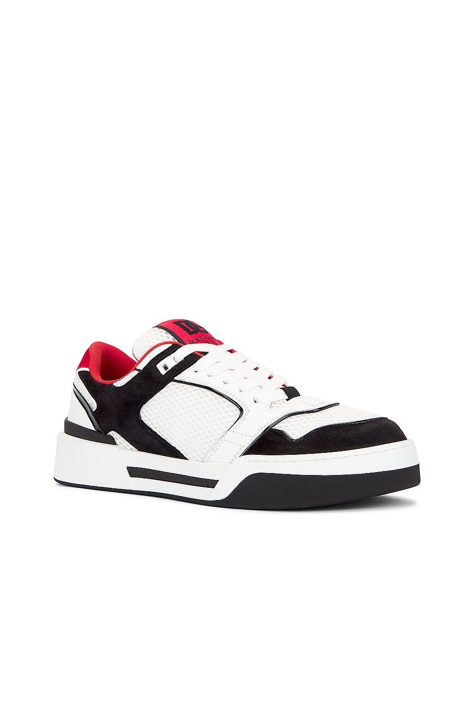 Dolce & Gabbana Crosta Mino Sneaker in Black Product Image