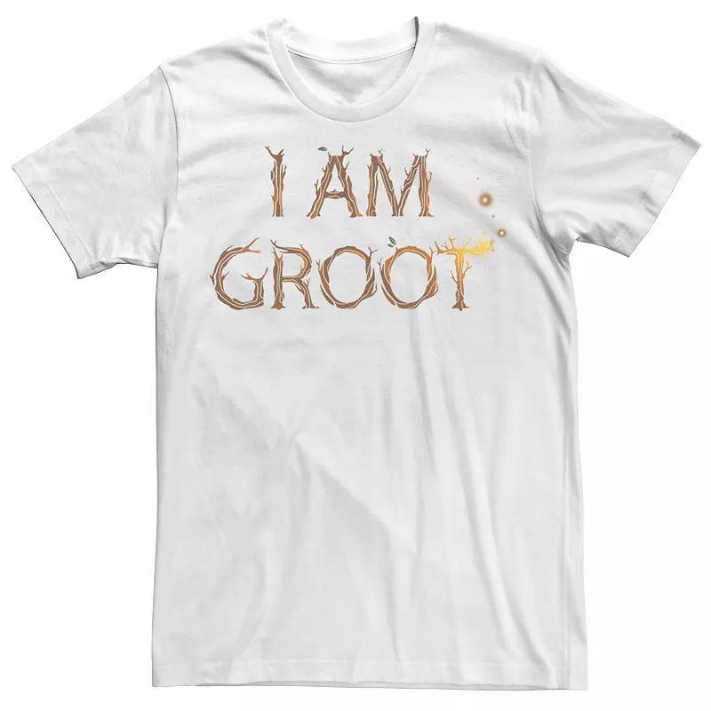 Mens Marvel Guardians Of The Galaxy I Am Groot Roots Graphic Tee Product Image