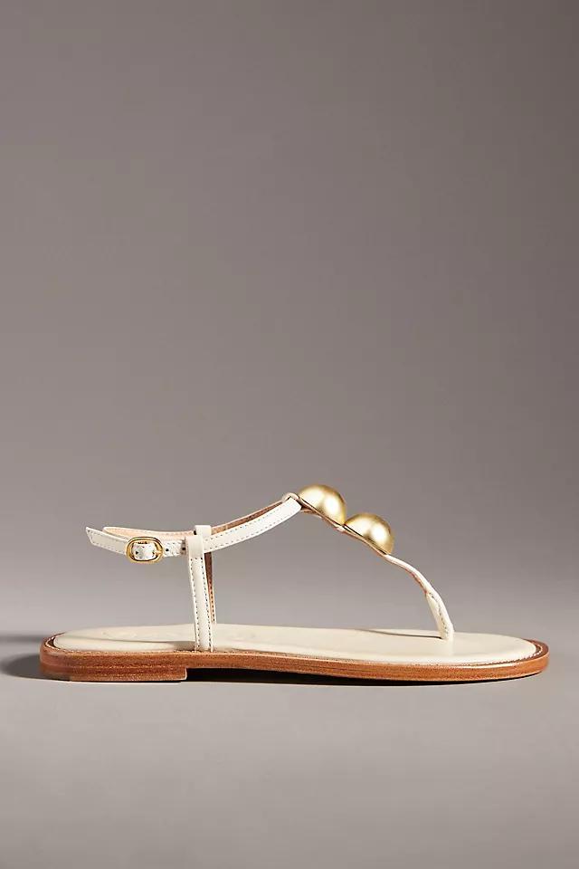 Vicenza T-Strap Thong Sandals Product Image