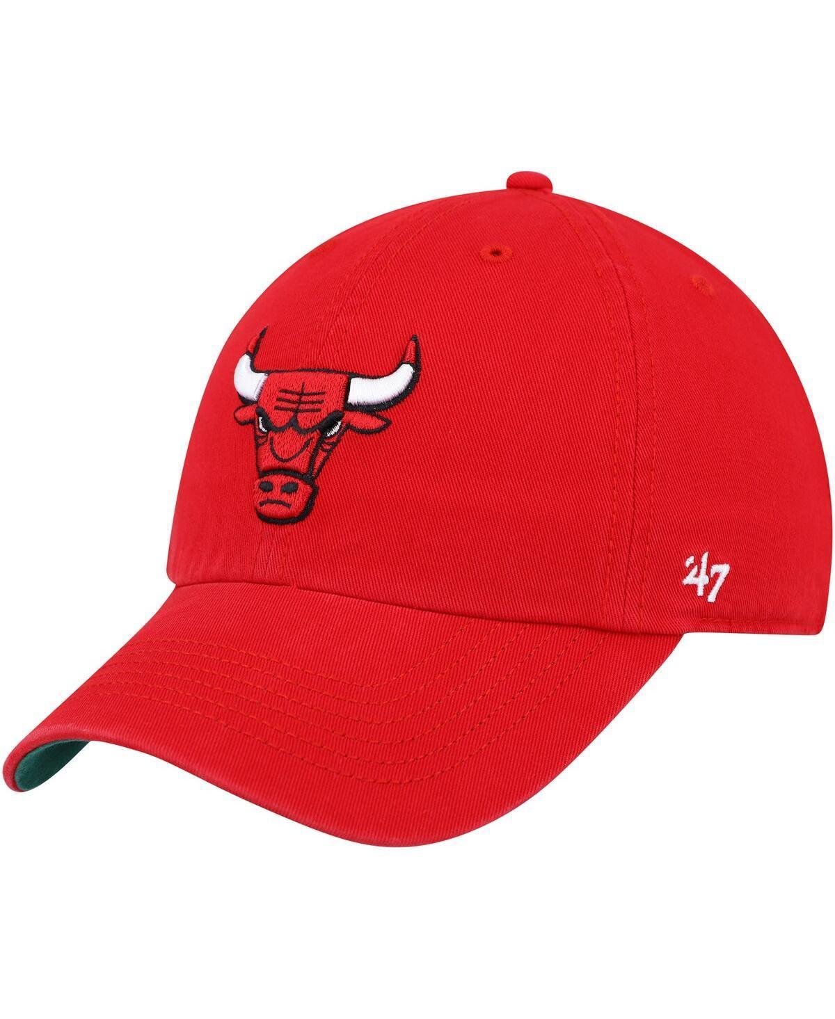 Mens 47 Chicago Bulls Franchise Fitted Hat Product Image