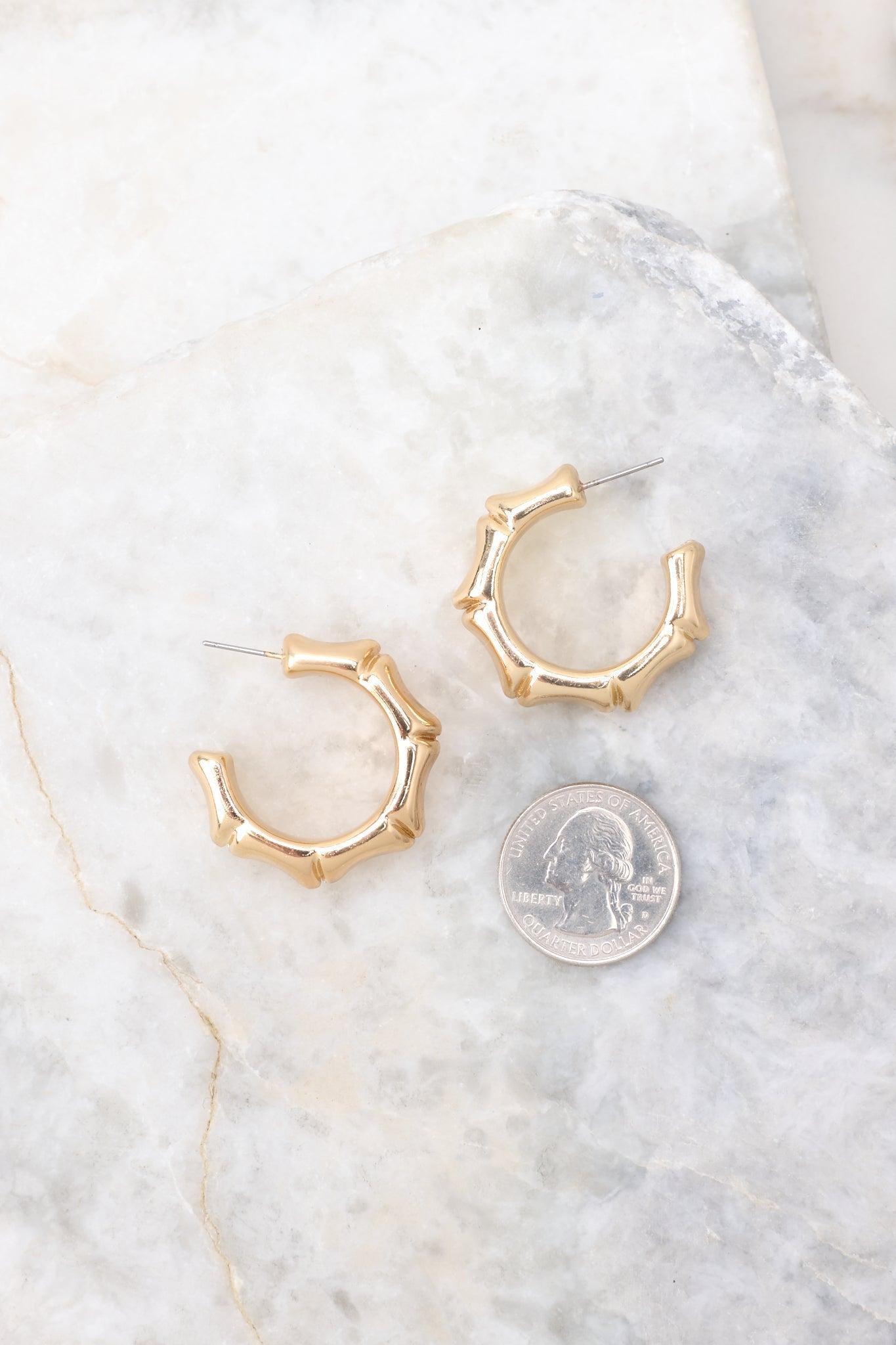 Eternally Perfect Gold Hoop Earrings Product Image