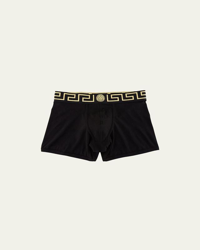 Mens Logo Trunks Product Image