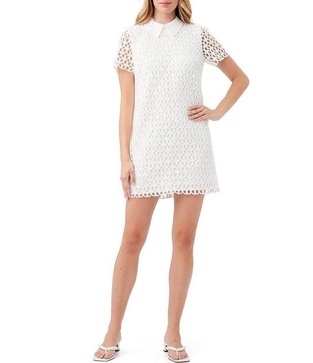 Trina Turk Sorrento Lace Point Collar Short Sleeve Shift Dress Product Image