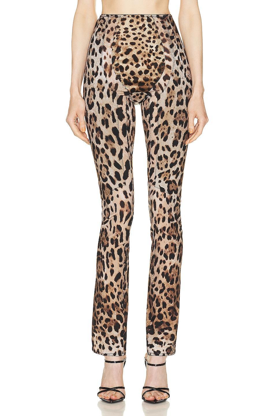 Dolce & Gabbana High Waisted Pant Brown. (also in ). product image