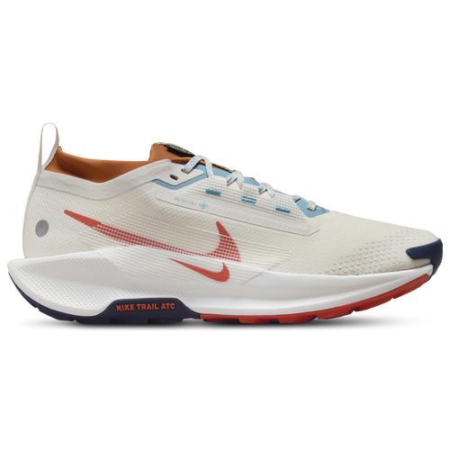 NIKE Mens  Reactx Pegasus Trail 5 Gtx In Phantom/vintage Coral/dark Russet Product Image