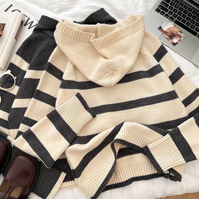 Striped Knit Hoodie Product Image