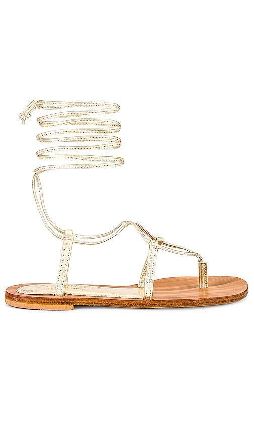 Molentis Lace Up Sandal Product Image