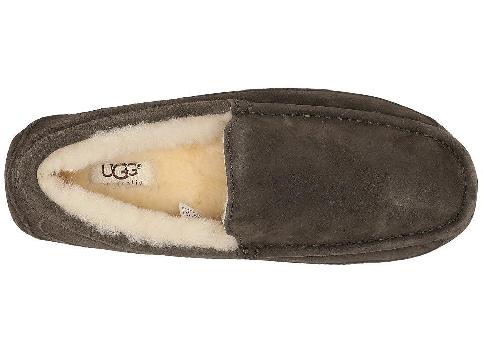 UGG Ascot - WIDE (Charcoal) Men's Slippers Product Image