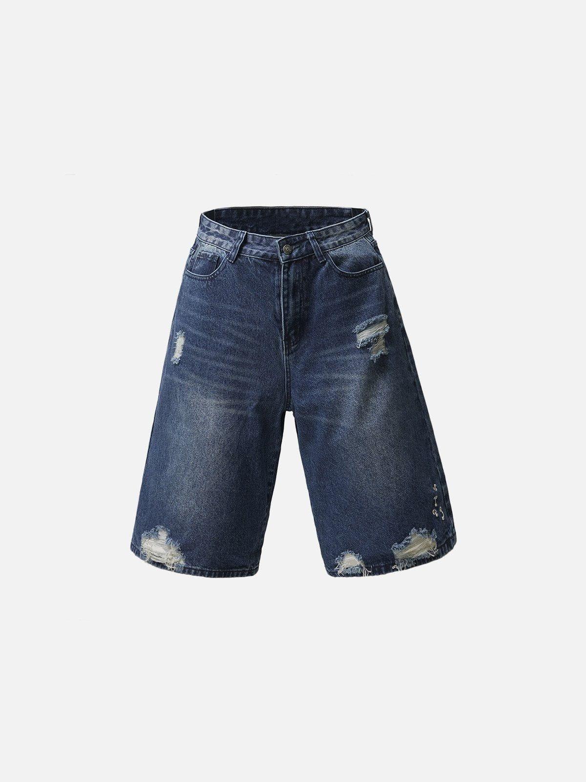 Aelfric Eden Distressed Washed Jorts Product Image