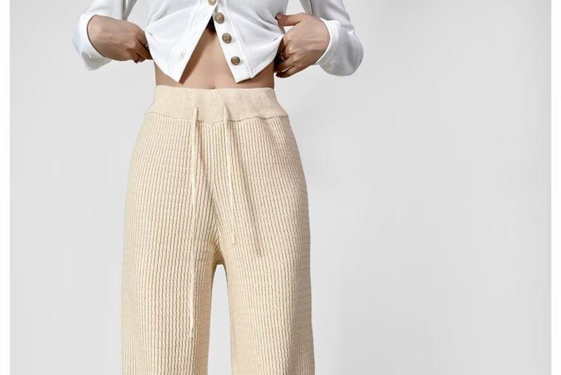 High Rise Plain Ribbed Wide Leg Pants Product Image