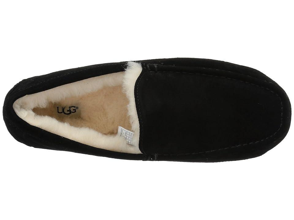 UGG Mens UGG Ascot - Mens Shoes Product Image