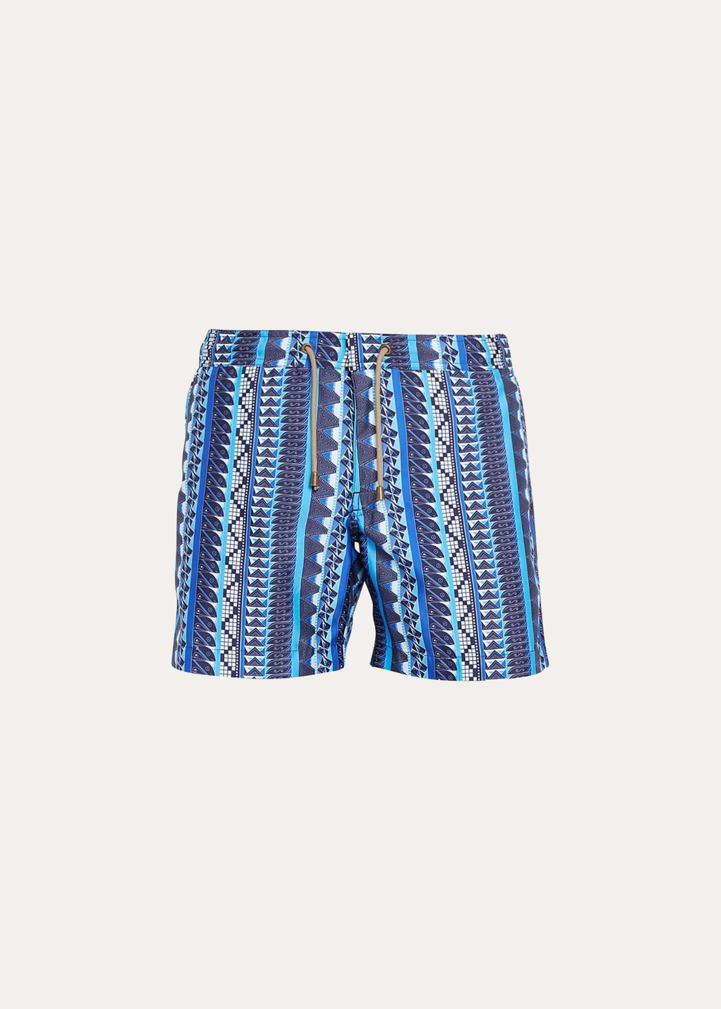 Mens Patterned Stripe Swim Shorts Product Image