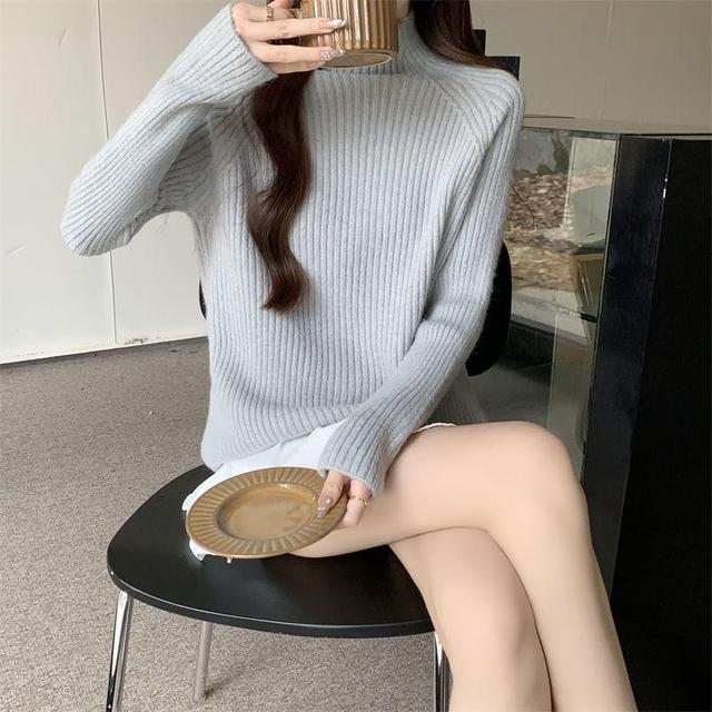 Long-Sleeve Turtleneck Ribbed Knit Top Product Image