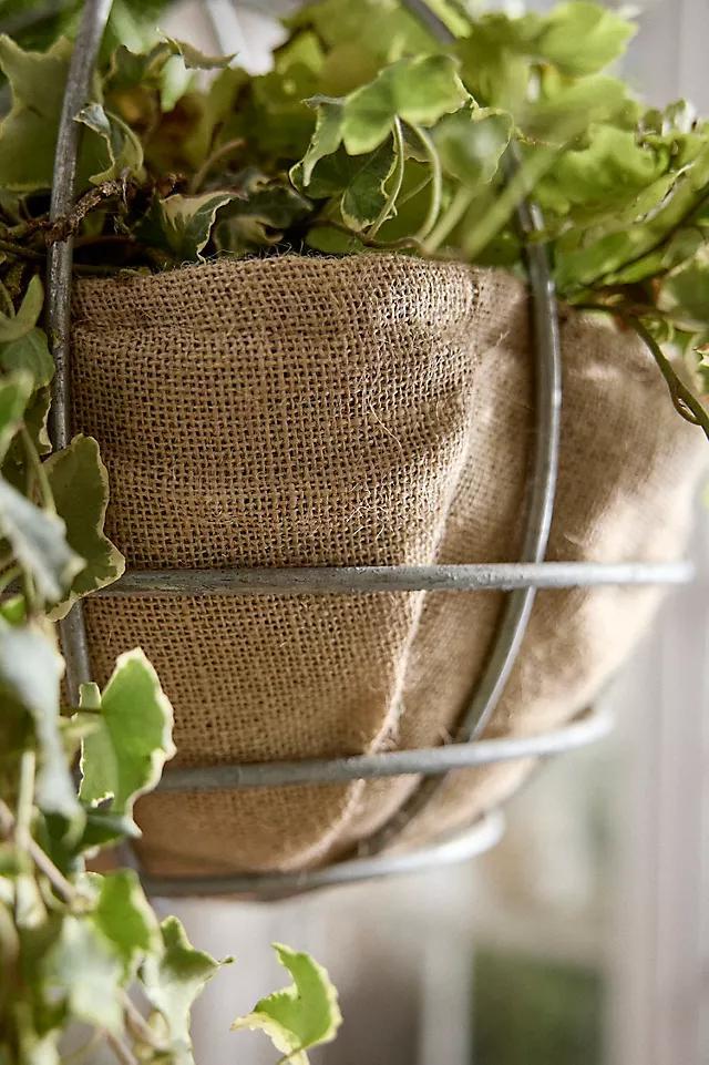 Water-Saving Natural Hanging Basket Liner Product Image