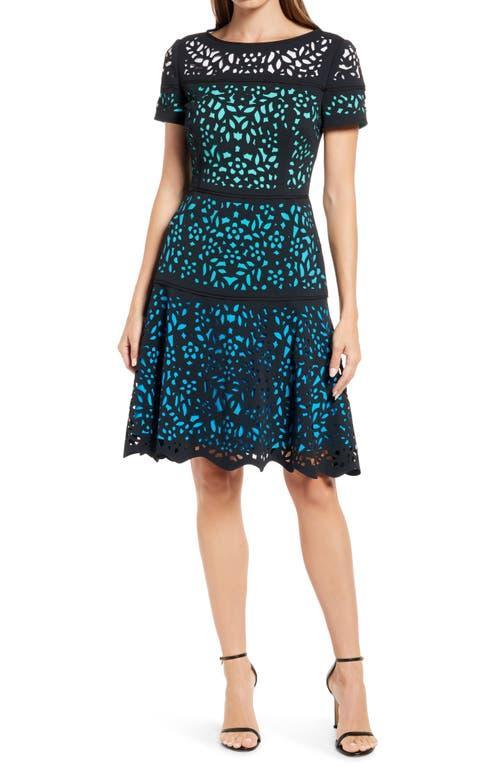 Shani Ombr Lace Fit & Flare Dress Product Image