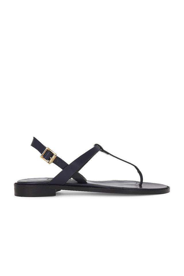 Manolo Blahnik Hata Leather Sandal in Navy - Navy. Size 36.5 (also in 37, 37.5, 41). Product Image