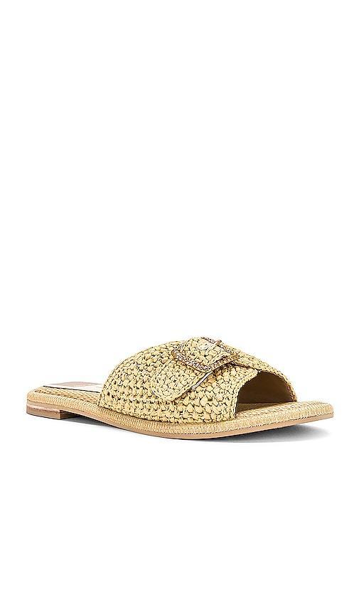 Dolce Vita Alonzo Raffia Sandals Product Image