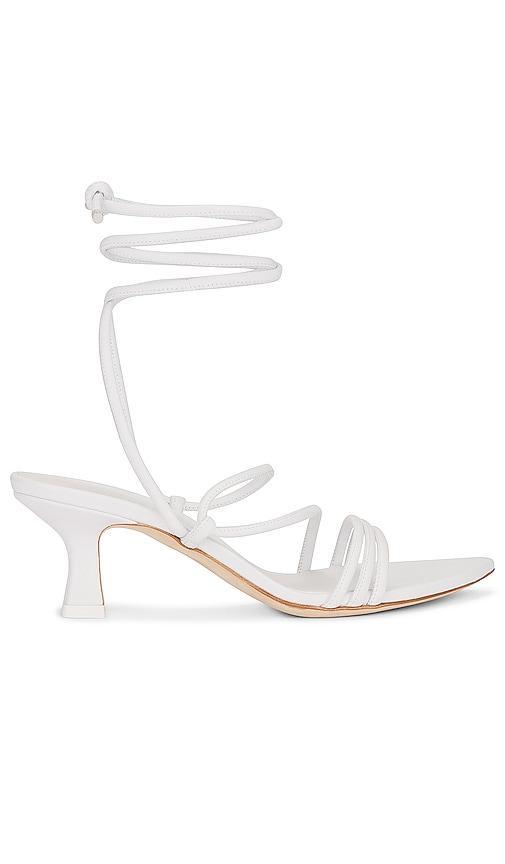 Dafne Sandal Product Image