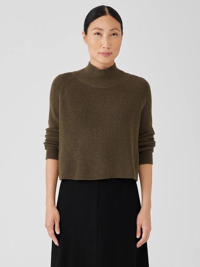 EILEEN FISHER Merino Cropped Turtleneck Top in Regenerative Woolfemale Product Image