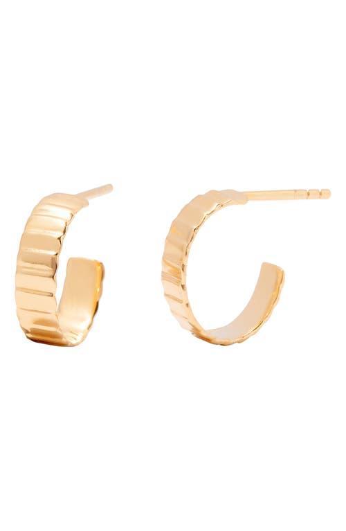 Brook and York Natalie Hoop Earrings Product Image