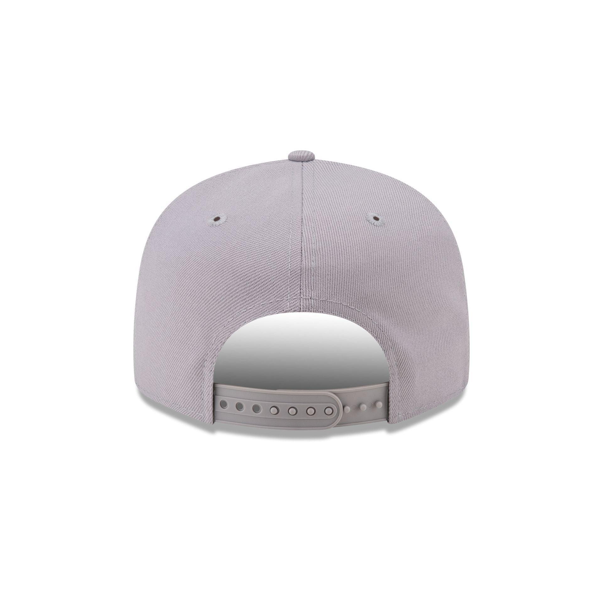 Team USA Skateboarding Gray 9FIFTY Snapback Hat Male Product Image