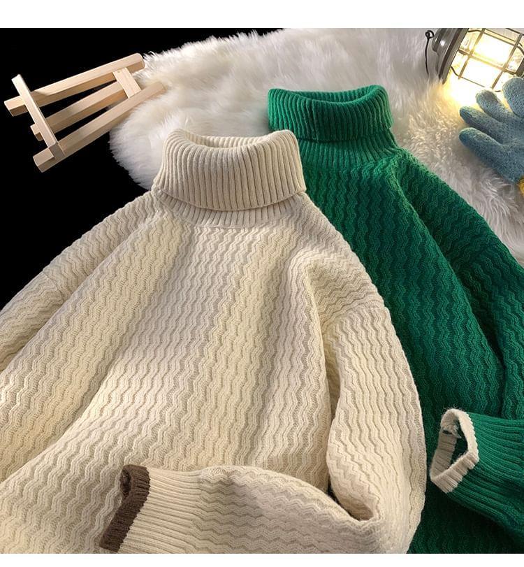 Turtleneck Plain Sweater Product Image