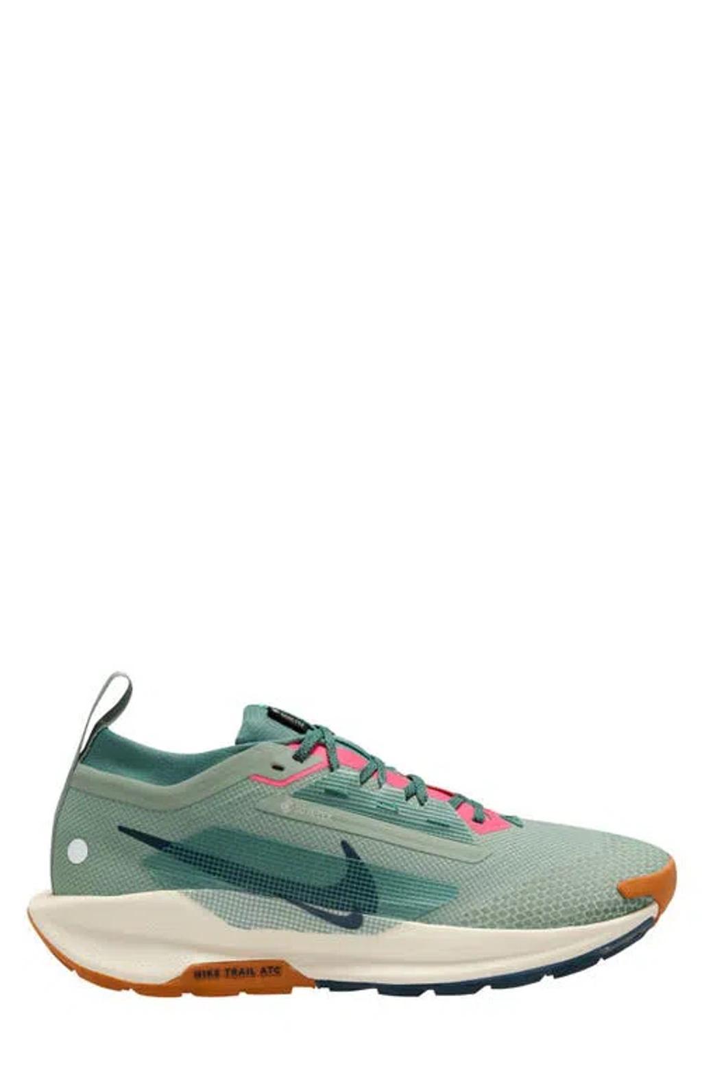 NIKE Men's Pegasus Trail 5 Gore-tex Waterproof Trail Running Shoes In Jade Horizon/bicoastal/pale Ivory/armory Navy Product Image