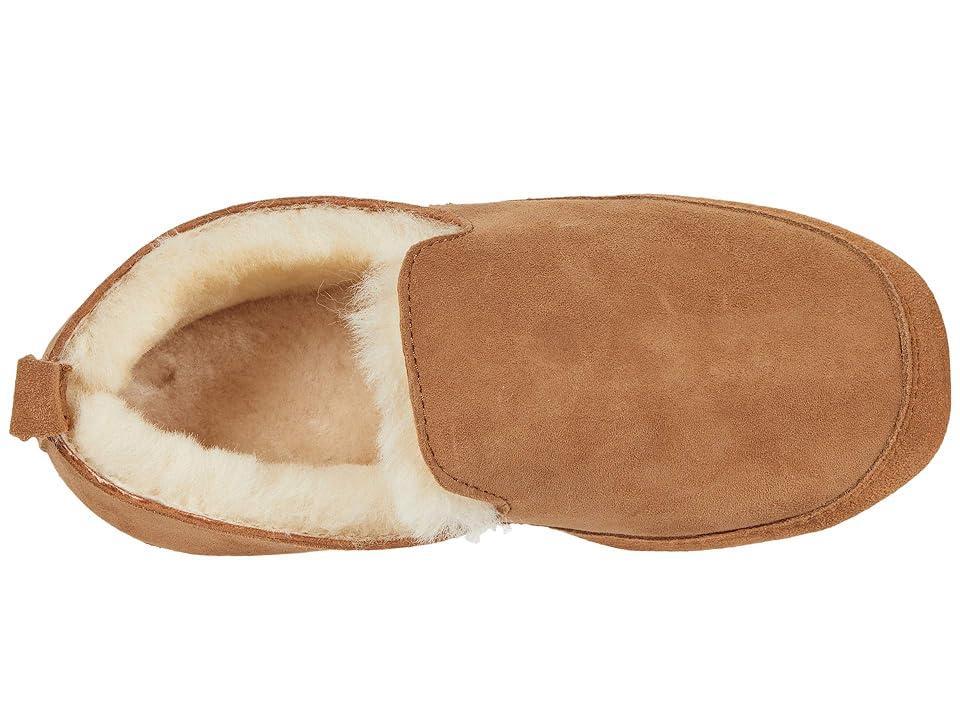 Acorn Genuine Shearling Slipper Product Image