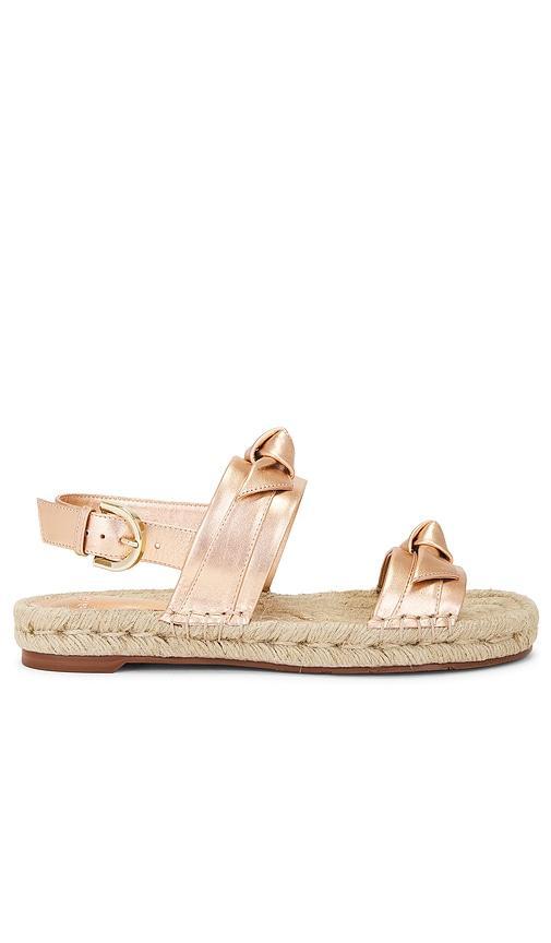 Clarita Espadrille Sandal Product Image