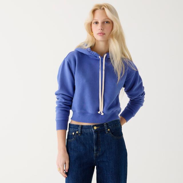 Heritage fleece cropped hoodie Product Image