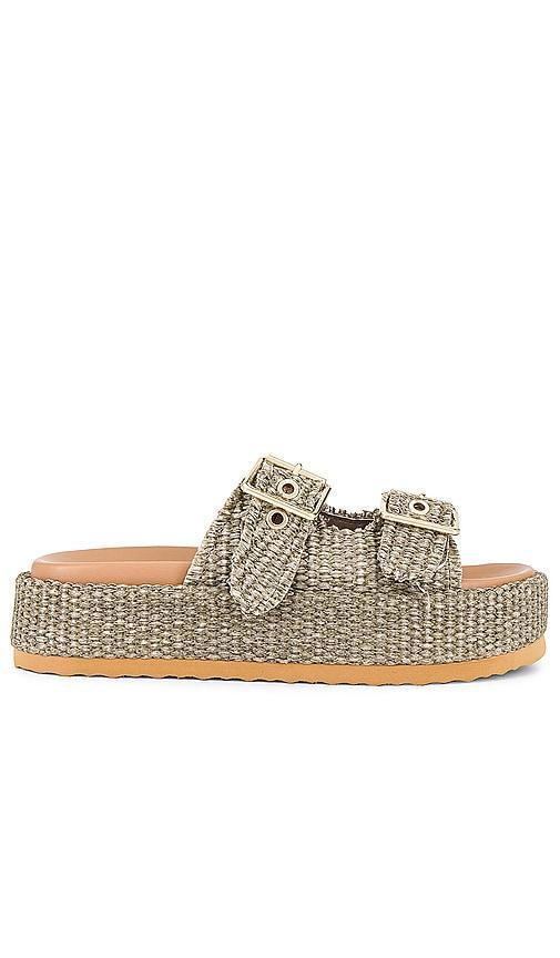 Steve Madden Karrigan Sandal in Olive. - size 10 (also in 8, 8.5, 9.5) Product Image